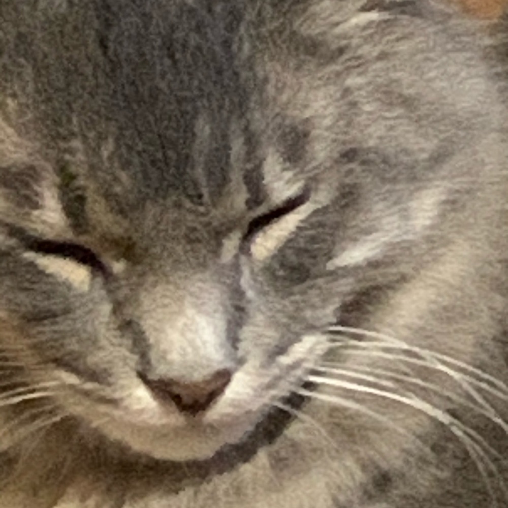 Meet your Posher, Daniel